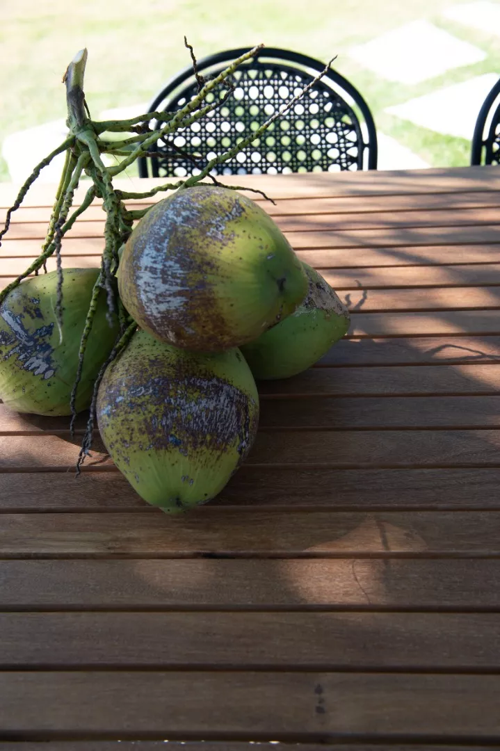 Mesa de Jantar Emília 8L