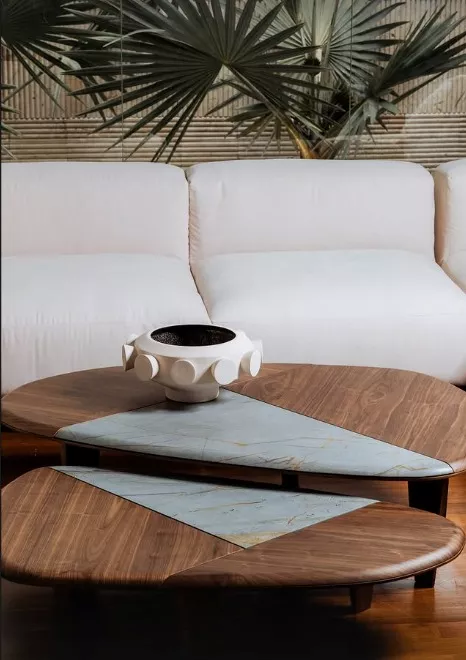 Conjunto Mesa de Centro Foglia