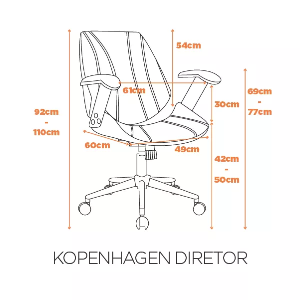 Cadeira Kopenhagen Diretor